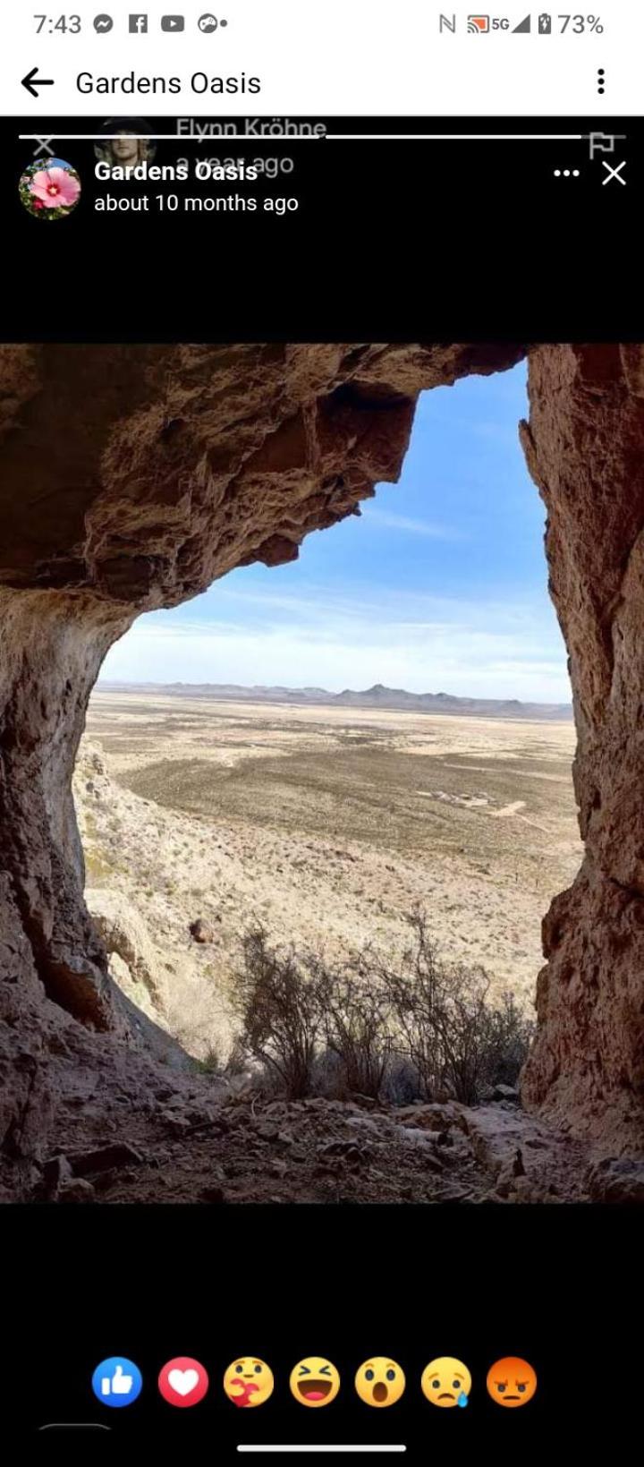 Camping At Desert Gardens Oasis At Lobo, Texas Van Horn Esterno foto